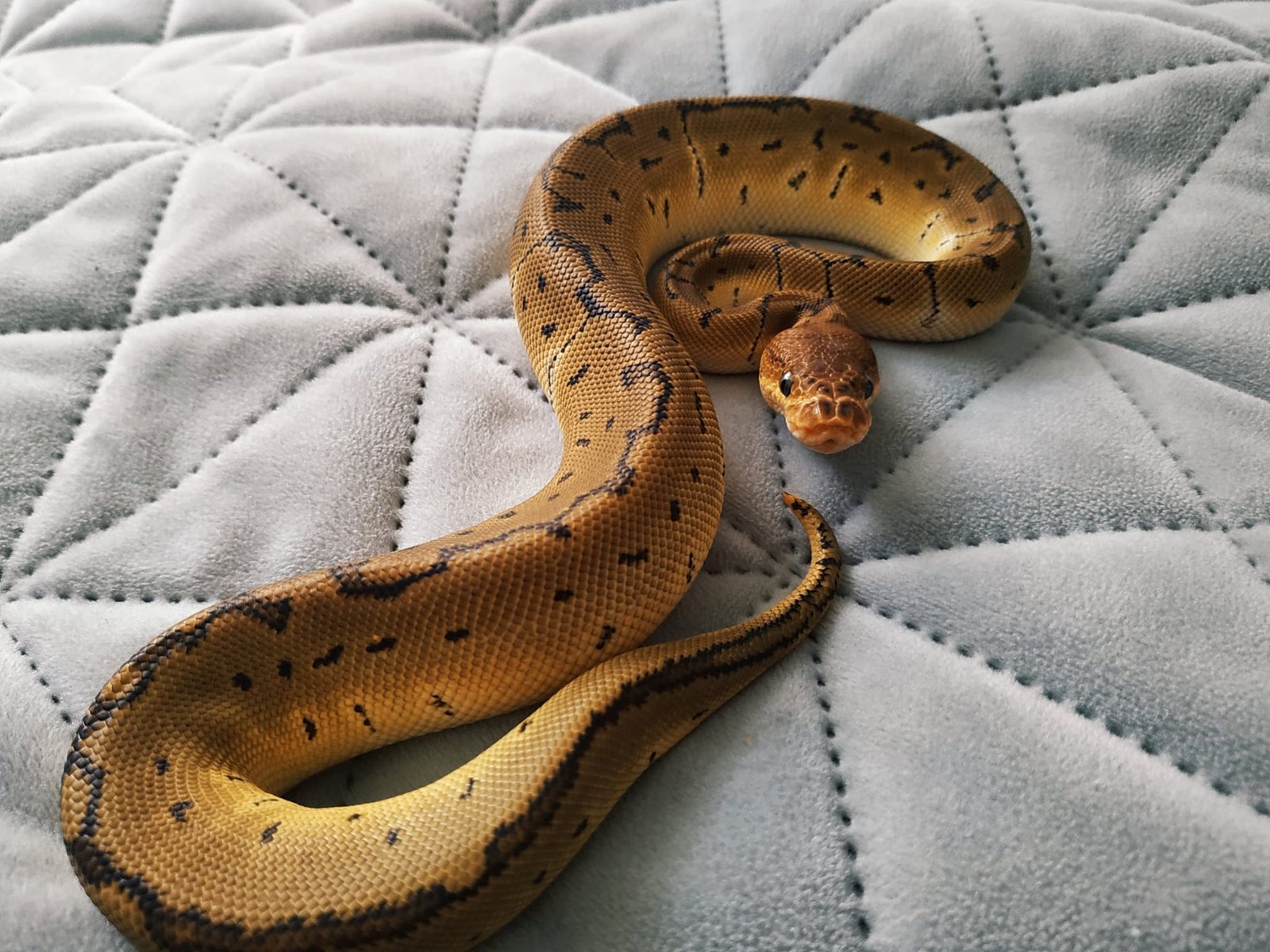 481071908_592157817148794_674723211869520995_n