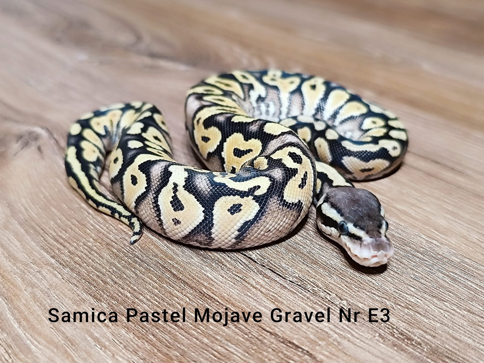 484095495_604485695916006_6940194566463650089_n