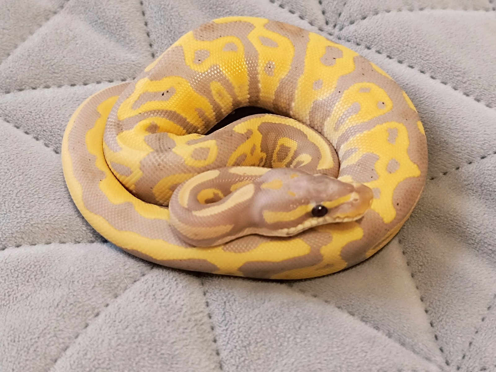 484357512_605737082457534_1004735357698523156_n