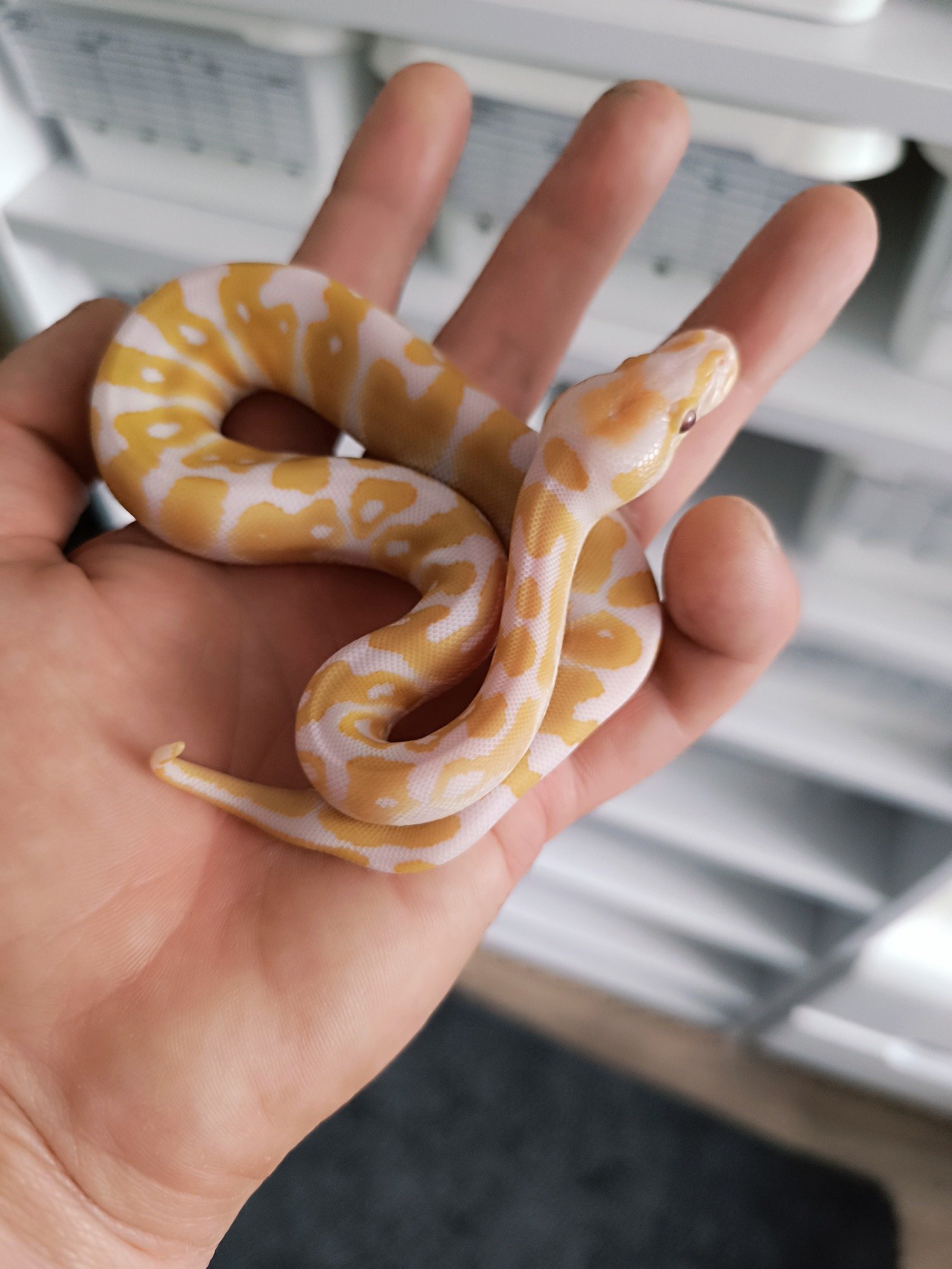 494254817_670062849358290_6164853080155258039_n