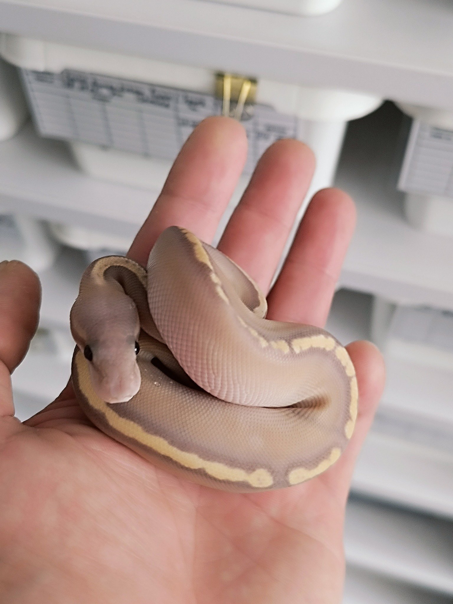 549151579_751623191202255_593442397099294061_n