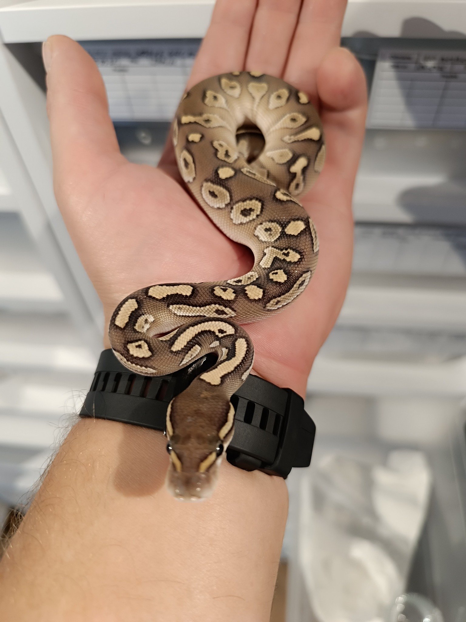 555927515_760705606960680_7886565289788868156_n