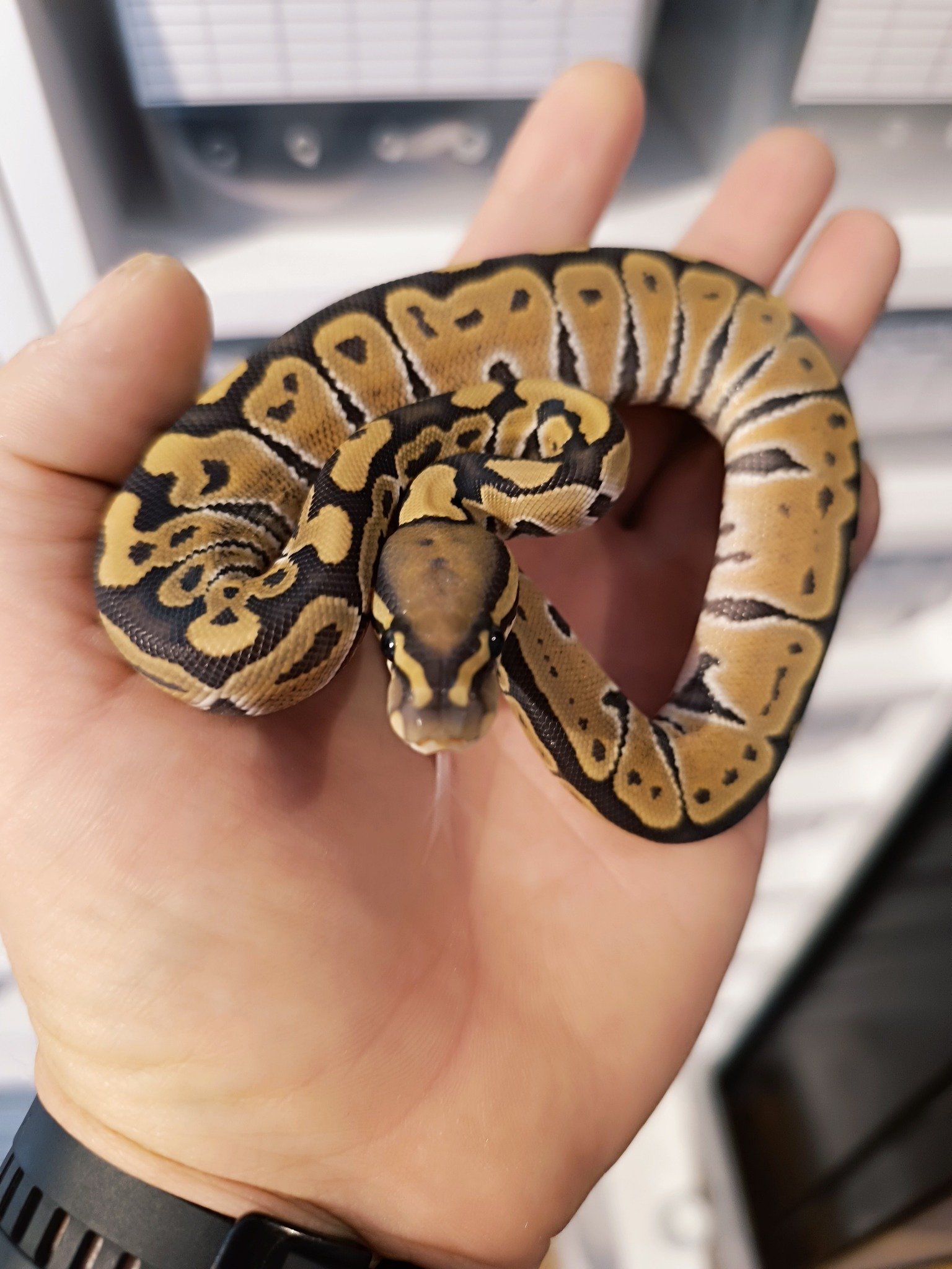 556096037_760705370294037_1853223575490688637_n