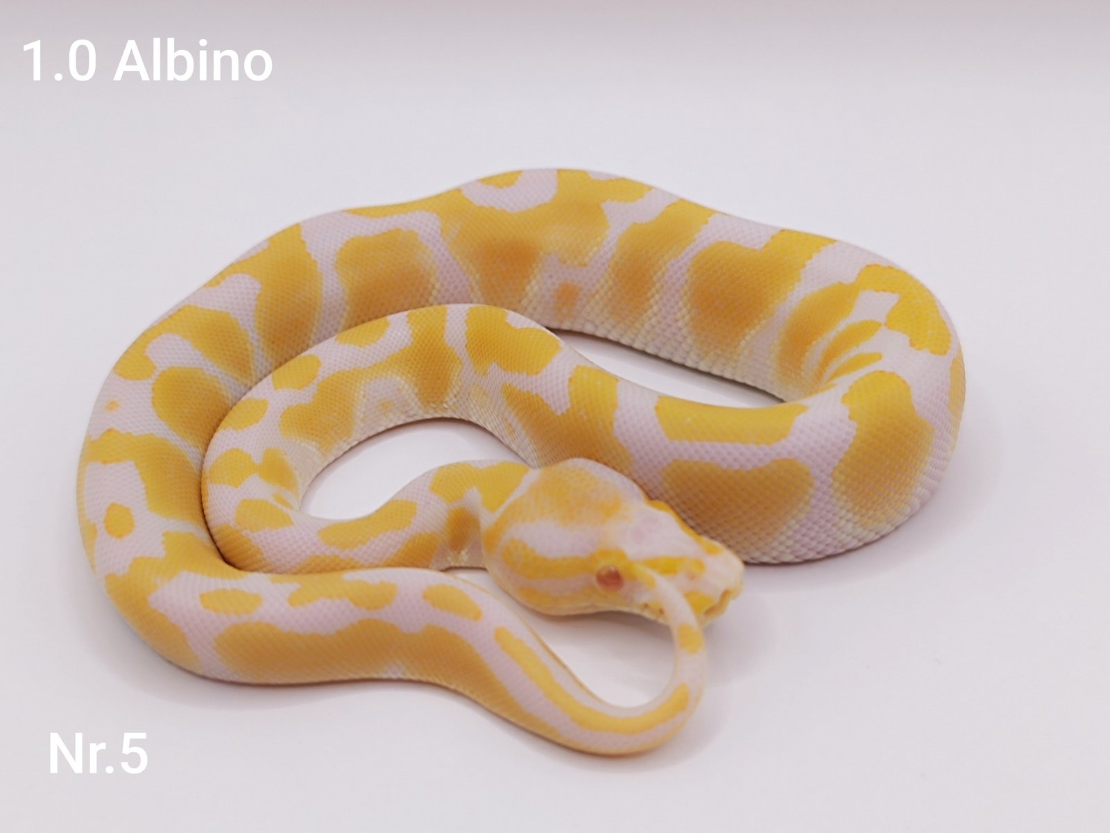 557453610_766301556401085_7825553894419739896_n