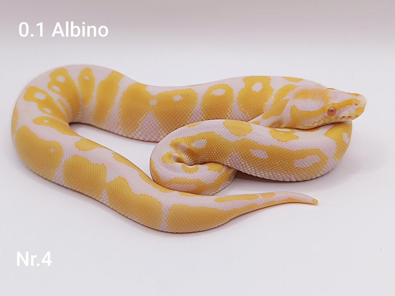 557805838_766301926401048_2136819451534119515_n